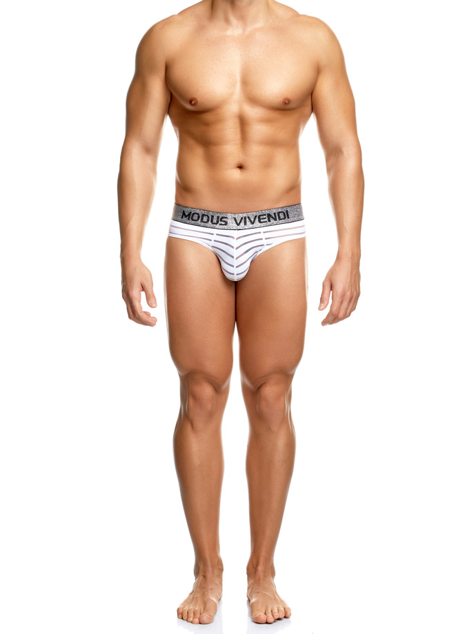 https://www.poppers.com/images/product_images/popup_images/20200-modus-vivendi-exclusive-brief-white__1.jpg