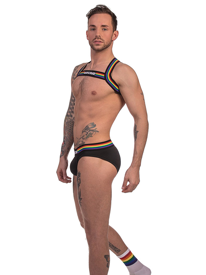 https://www.poppers.com/images/product_images/popup_images/91745-harness-black-pride-barcode-berlin__1.jpg