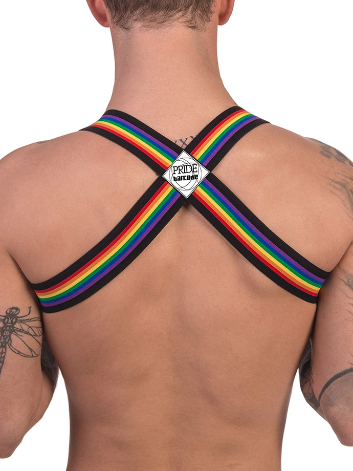 https://www.poppers.com/images/product_images/popup_images/91745-harness-black-pride-barcode-berlin__3.jpg