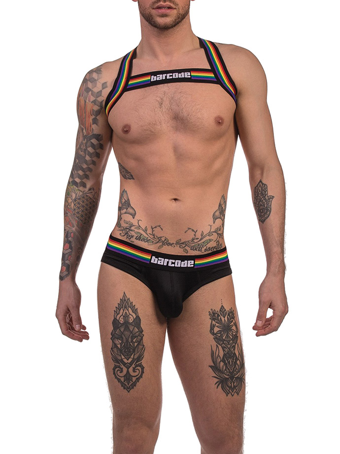 https://www.poppers.com/images/product_images/popup_images/91745-harness-black-pride-barcode-berlin__4.jpg