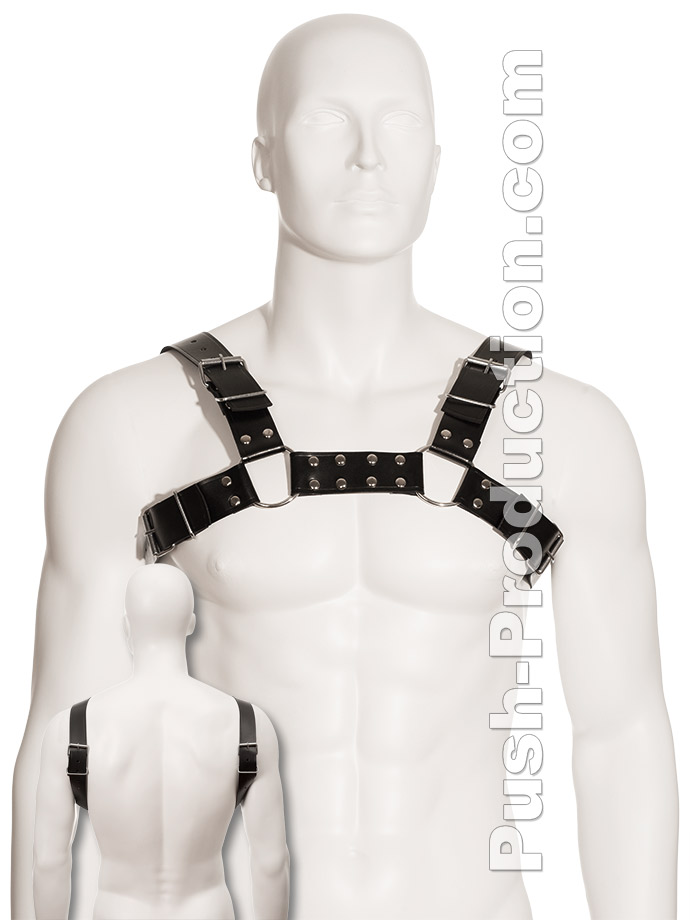 https://www.poppers.com/images/product_images/popup_images/black-bull-dog-harness-leather.jpg