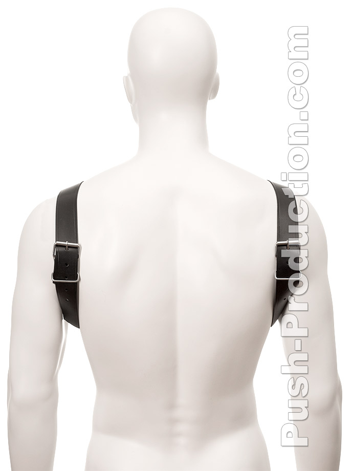 https://www.poppers.com/images/product_images/popup_images/black-bull-dog-harness-leather__1.jpg