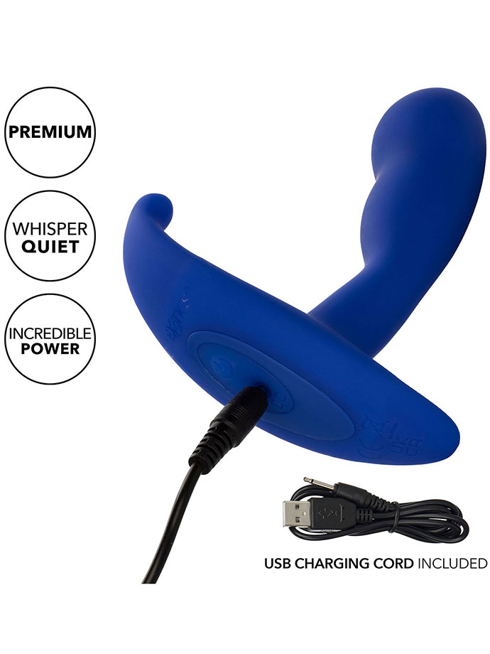 https://www.poppers.com/images/product_images/popup_images/calexotics-admiral-advanced-curved-prostata-probe-silicone__4.jpg
