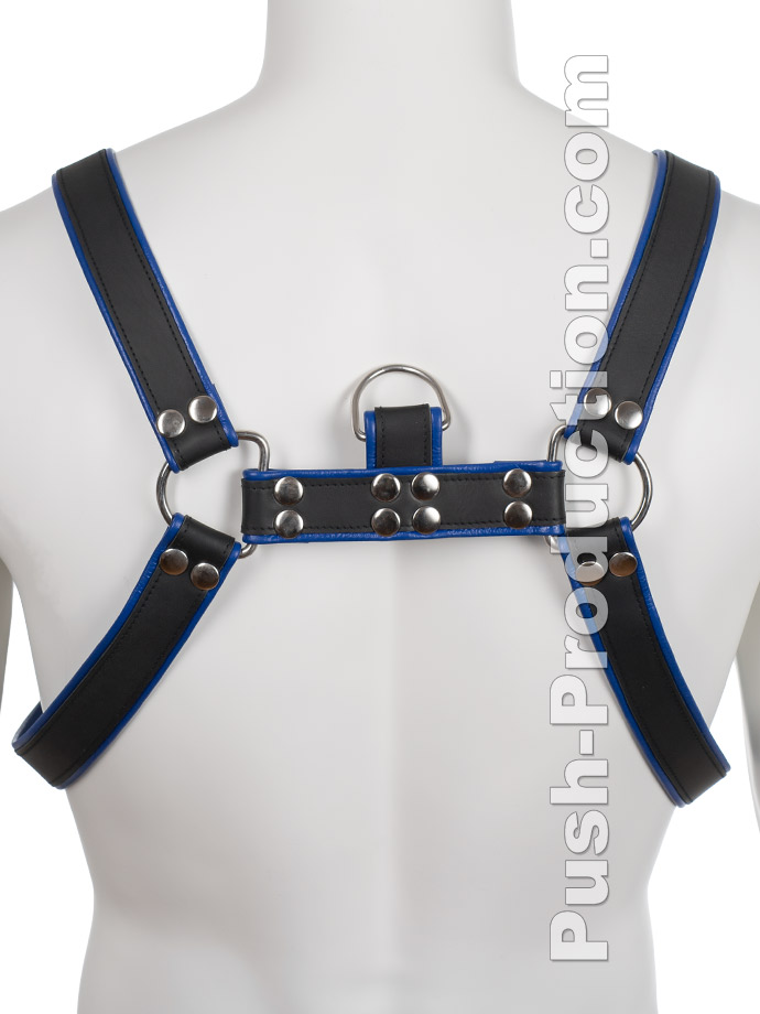 https://www.poppers.com/images/product_images/popup_images/leather-bdsm-top-harness-d-rings-blue__2.jpg