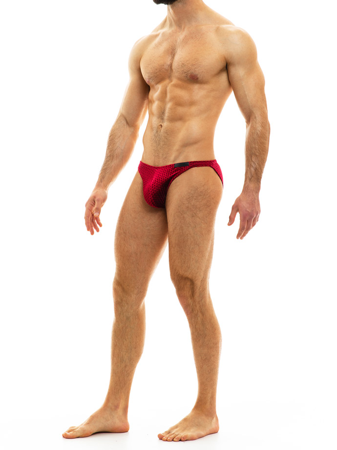https://www.poppers.com/images/product_images/popup_images/modus-vivendi-tiffany-velvet-brief-red__2.jpg