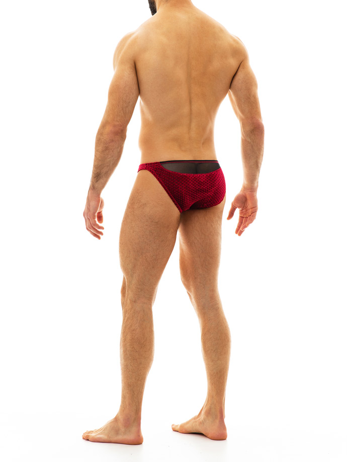 https://www.poppers.com/images/product_images/popup_images/modus-vivendi-tiffany-velvet-brief-red__3.jpg