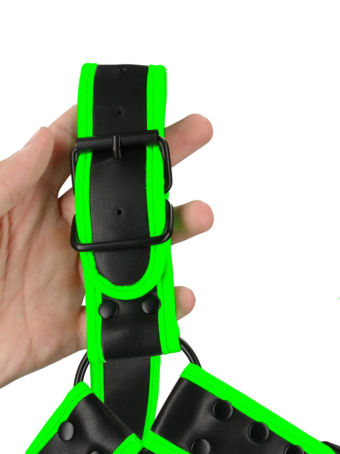 https://www.poppers.com/images/product_images/popup_images/ouch-buckle-bulldog-harness-glow-in-the-dark__3.jpg